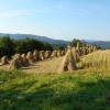 , Aragonit