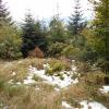 , Aragonit
