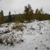 , Aragonit