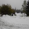 , Aragonit