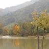 , Aragonit