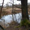 , Aragonit