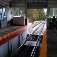 , mokunka