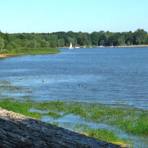 Turawa