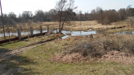 Zygmuntów, Aragonit