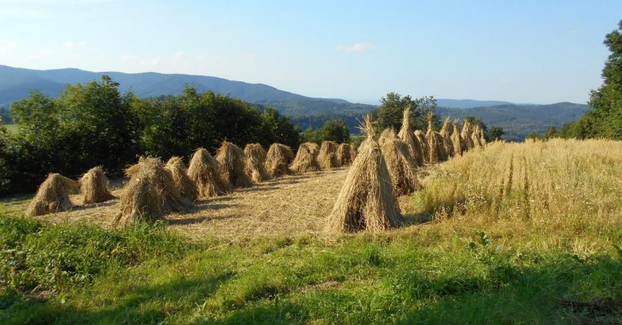 Stryszawa - zdjęcie