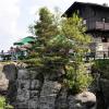 , kubarek23