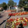 , Grazyna