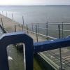 , Grazyna