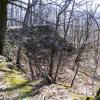 , kubarek23
