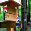 , kubarek23