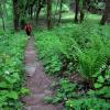 , kubarek23