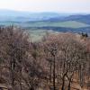 , kubarek23