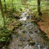 Czechy Sedlo Peclo, Aragonit