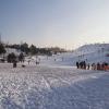 Dolomity Sportowa Dolina w Bytomiu