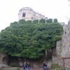 , Marcin M