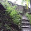 , Marcin M