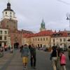 , Sasanka
