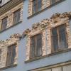 , Sasanka
