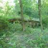 , Marcin M