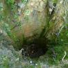 biedaszyby, Marcin M