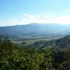 , Marcin M
