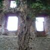 , Marcin M