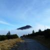, Marcin M