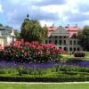 , Sasanka