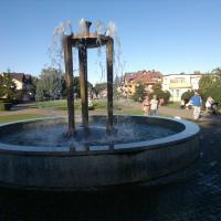, Grazyna