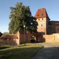 , Grazyna