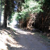 , kubarek23