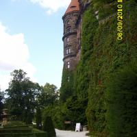 , Marcin M