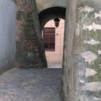 , Sasanka