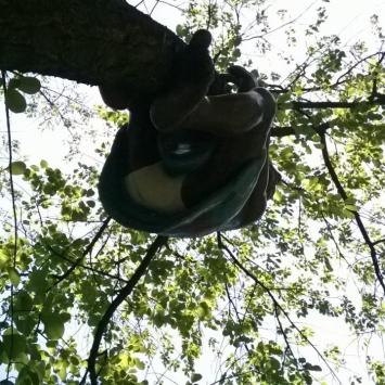 Rodzinny park rozrywki w Rybniku - zdjęcie