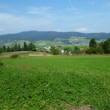 Gorce, Marcin M