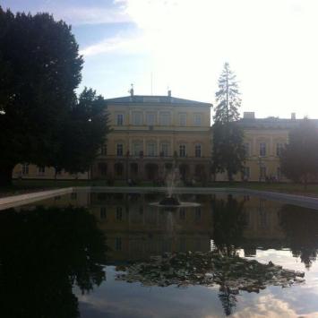 , Sasanka