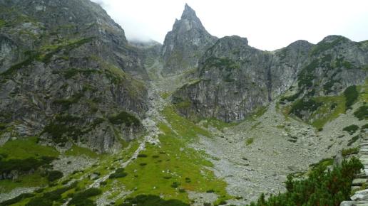 Mnich, Marcin M