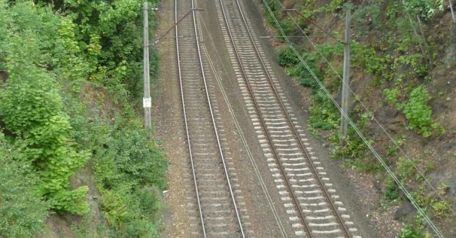 65 km, Mauzoleum i nie tylko czyli Szczawno Zdrój po raz drugi. - zdjęcie