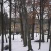 , Barsolis Karol Turysta Kulturowy