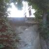 , mokunka