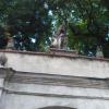 , mokunka