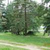 Park przy Domu Hauptamanna, Danusia