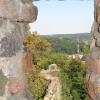 widok na zamek Świny, Danusia