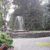 , Marcin M