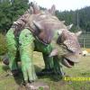 , Marcin M
