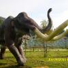 , Marcin M