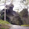 , Marcin M