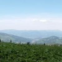Panorama z Pawlusiej, DoRi