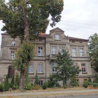 , Barsolis Karol Turysta Kulturowy